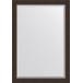 Зеркало Evoform Exclusive BY 1194 71x101 см палисандр купить в Москве по цене от 8269р. в интернет-магазине mebel-v-vannu.ru