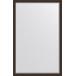 Зеркало Evoform Exclusive BY 1214 111x171 см палисандр купить в Москве по цене от 16799р. в интернет-магазине mebel-v-vannu.ru